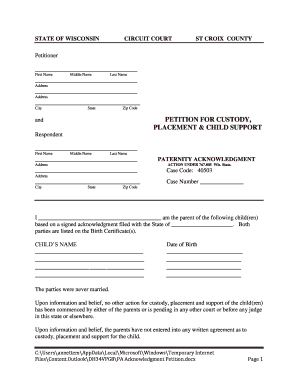 Wisconsin Petition for Custody, Placement & Child Support