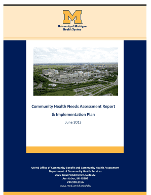 Implementation form - Community Health Needs Assessment Report & Implementation Plan - med umich