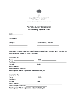 Palmetto Surety Underwriting Approval Form