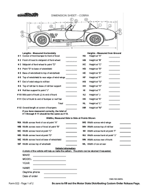 Motor State Custom Order Release Form