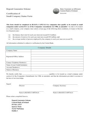 Small Company Status Certification Form