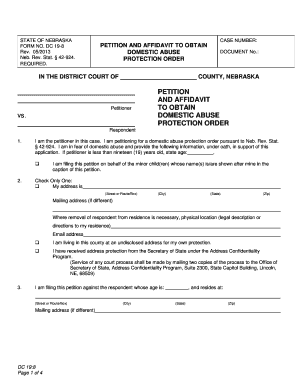 Nebraska Domestic Abuse Protection Order Petition