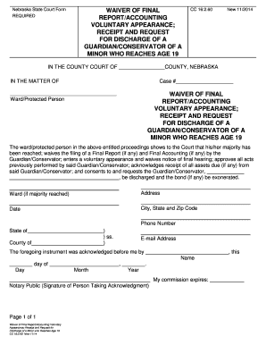 final accounting protected person nebraska form