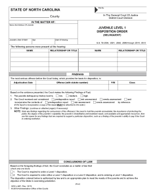 North Carolina Juvenile Delinquency Disposition Order