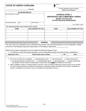 North Carolina Juvenile Disposition and Commitment Order