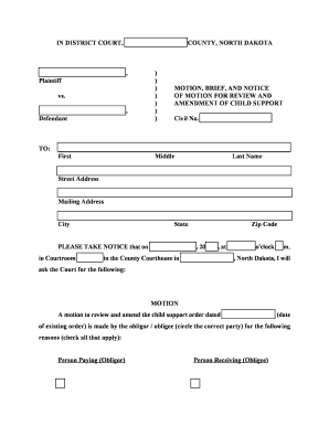 Motion for Review and Amendment of Child Support