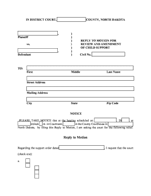 Reply to Motion for Review and Amendment of Child Support