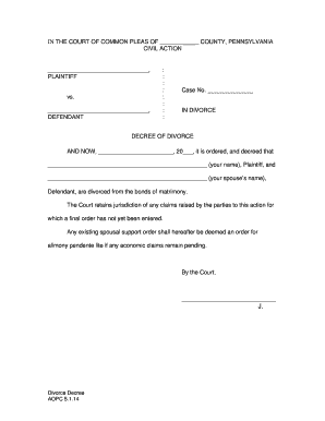 Divorce Decree Form 9
