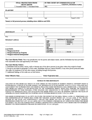 Pennsylvania Protection From Abuse Order