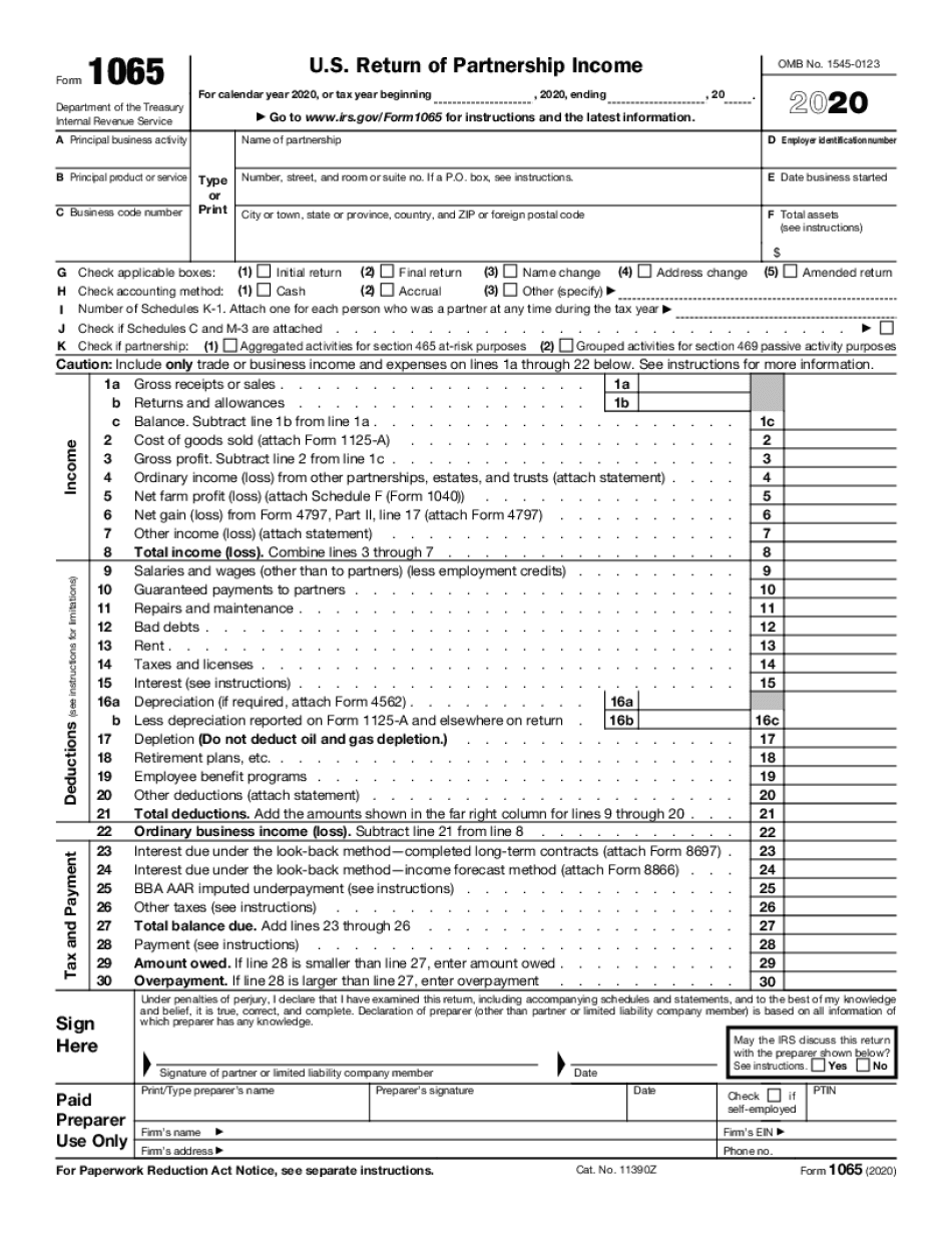 Form 1065 Blank Sample to Fill out Online in PDF