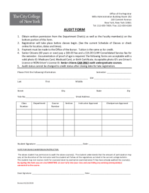 Audit Form - The City College of New York