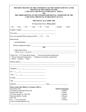 Form preview