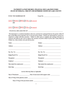 Paternity Post Decree Financial Declaration Form