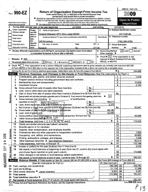 Form 990-EZ Tax Return