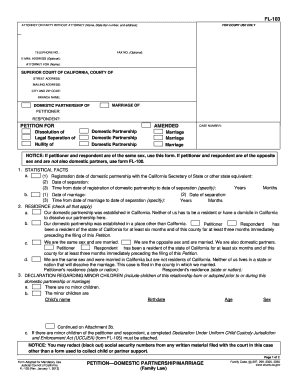 California Domestic Partnership or Marriage Petition