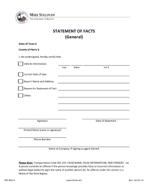 Texas Statement of Facts for Vehicle