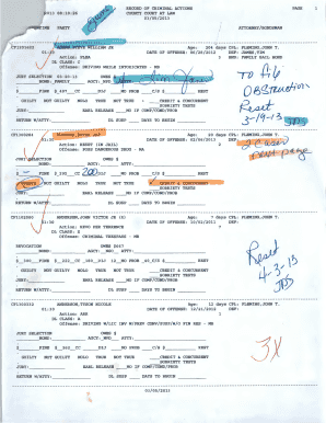Criminal Actions Record Form