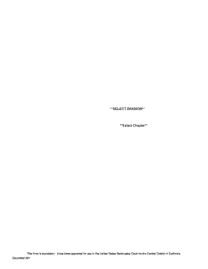 Summons and Notice of Status Conference in an Involuntary Bankruptcy Case