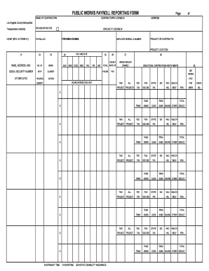 Public Works Payroll Reporting Form
