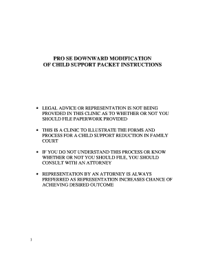 Pro Se Downward Modification of Child Support Packet