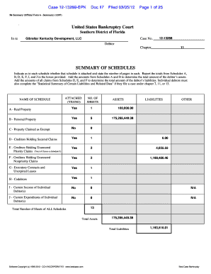 US Bankruptcy Court Form 6 Summary