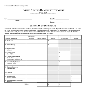US Bankruptcy Court Form 6 Summary