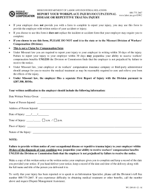 Missouri Workplace Injury Report Form