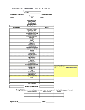 Financial Information Statement