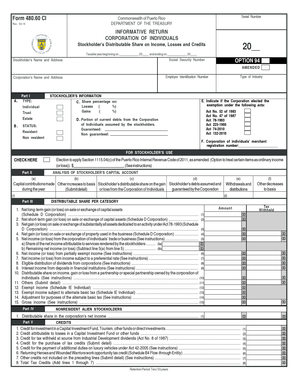 Puerto Rico Corporation of Individuals Informative Return