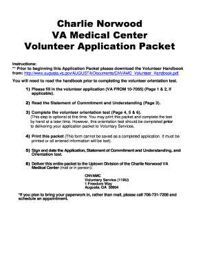 VA Form 10-7055 Volunteer Application