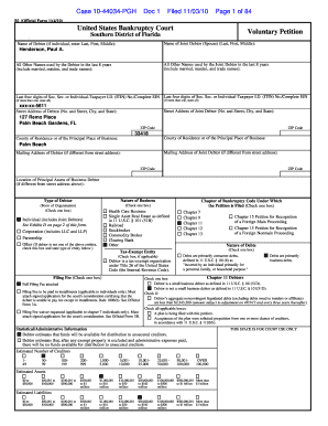 US Bankruptcy Court Voluntary Petition