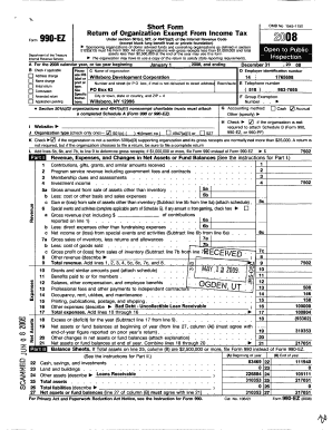Form 990-EZ 2008 Tax Return