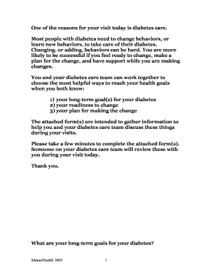 Diabetes Care Plan Form