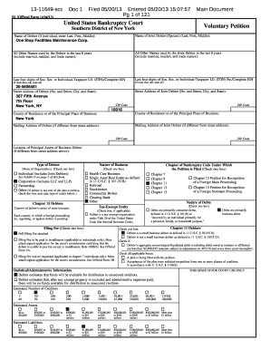 US Bankruptcy Voluntary Petition