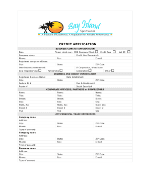 Business Credit Application Form
