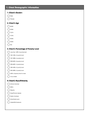 Georgia Client Outcome Form - Consumer