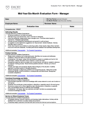 Mid-Year Manager Evaluation Form