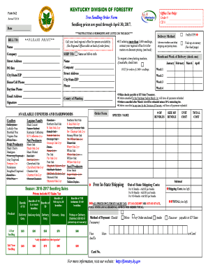 Form preview picture