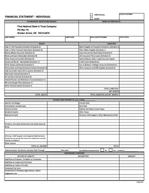 Individual Financial Statement Form