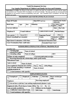 Transition Age Youth Living Plan