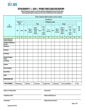 EEO-1 Workforce Analysis Report