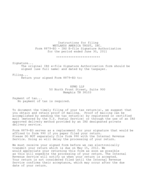 IRS Form 8879-EO Signature Authorization