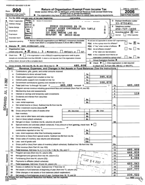 IRS Form 990 2006