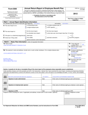 Form 5500 Annual Return Report