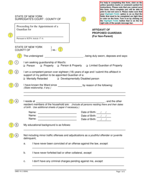 New York Guardian Affidavit