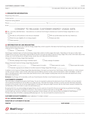 Customer Energy Usage Data Consent Form
