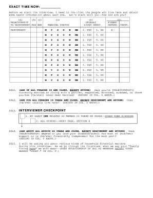 Household Financial Survey Form