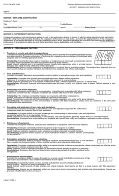 New York Employee Performance Evaluation Form