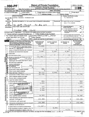 IRS Form 990-PF 2009