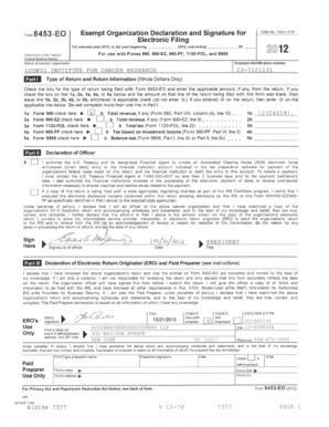 Form 990 Tax Exempt Organization Return